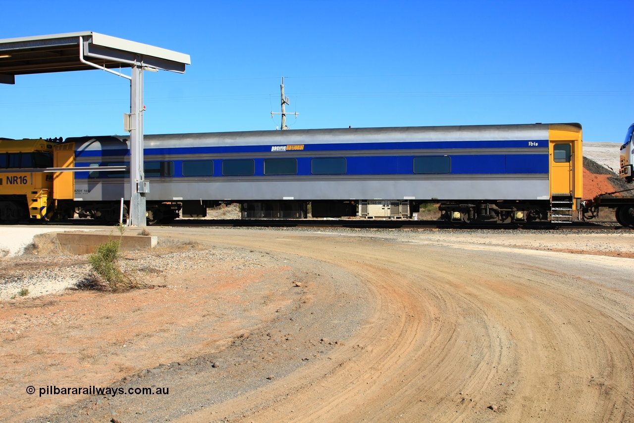 100603 8865
Parkeston, Pacific National RZDY type crew accommodation car RZDY 103 'Ibis' originally built by SAR Islington Workshops as a Bluebird railcar driving trailer in 1956 named 'Ibis', in 1986 numbered 103, in 1990 converted to locomotive hauled and coded as BR type BR 103, written off in 1995 and sold off. It was owned by a number of owners and finally in 2006 converted to a Pacific National crew car.
Keywords: RZDY-type;RZDY103;SAR-Islington-WS;Bluebird;103;BR103;