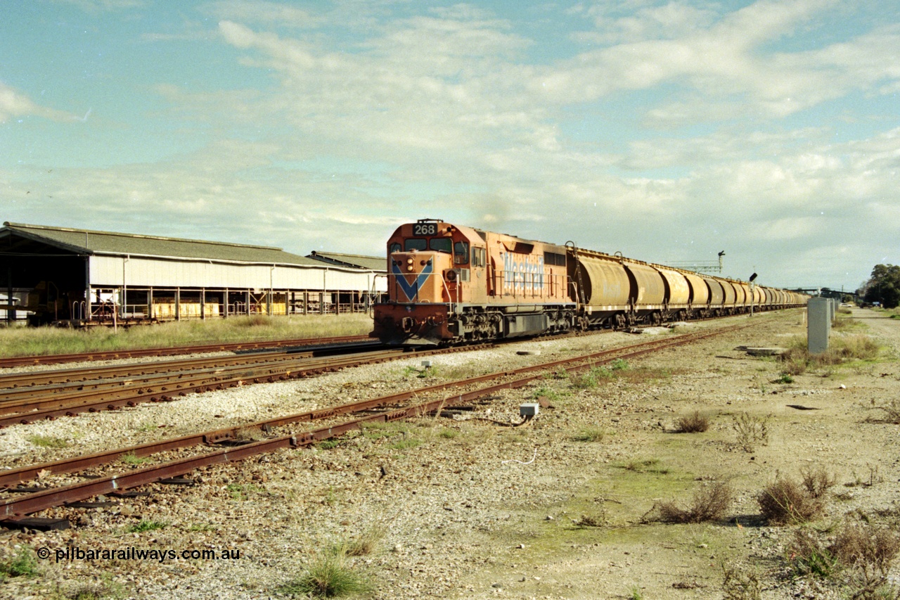 186-05
Midland, empty standard gauge down grain train 051 powers along behind Westrail L class locomotive L 268 Clyde Engineering EMD model GT26C serial 68-617 with forty WW and WWA type bogie grain waggons.
Keywords: L-class;L268;Clyde-Engineering-Granville-NSW;EMD;GT26C;68-617;