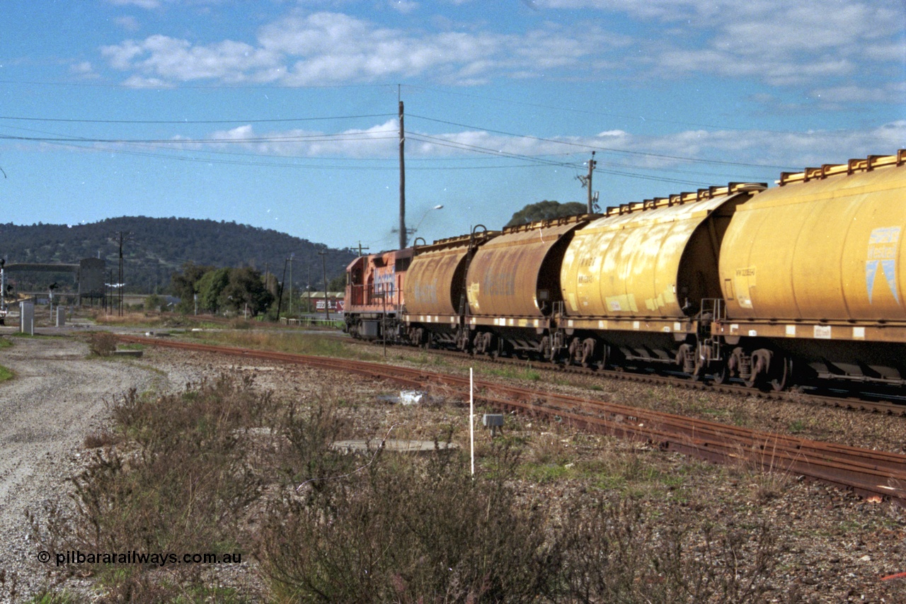 186-06
Midland, empty standard gauge down grain train 051 powers along behind Westrail L class locomotive L 268 Clyde Engineering EMD model GT26C serial 68-617 with forty WW and WWA type bogie grain waggons, trailing view.
Keywords: L-class;L268;Clyde-Engineering-Granville-NSW;EMD;GT26C;68-617;