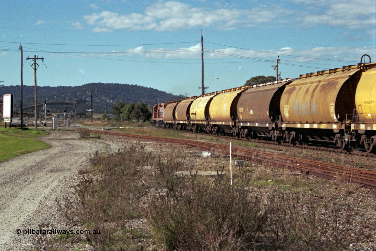 186-07
Midland, empty standard gauge down grain train 051 powers along behind Westrail L class locomotive L 268 Clyde Engineering EMD model GT26C serial 68-617 with forty WW and WWA type bogie grain waggons, trailing view.
