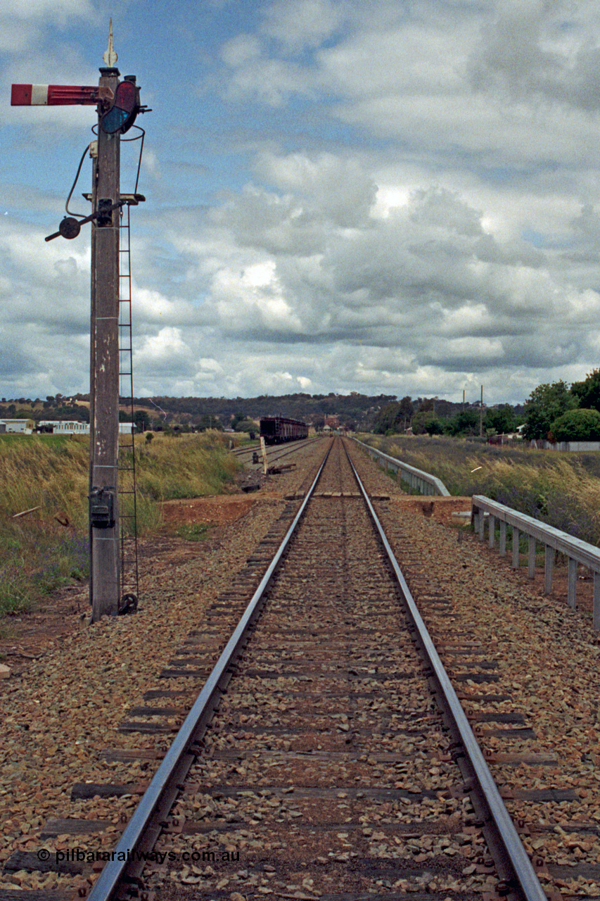 192-25
Cootamundra West, NSW, view looking up direction across Freer's private grade crossing towards Cootamundra West from the up home mechanical lower quadrant semaphore signal on a wooden post and still with finial. Lever 48 operates this signal. The sidings on the left are the Refuge and No.1 Goods Sidings.
