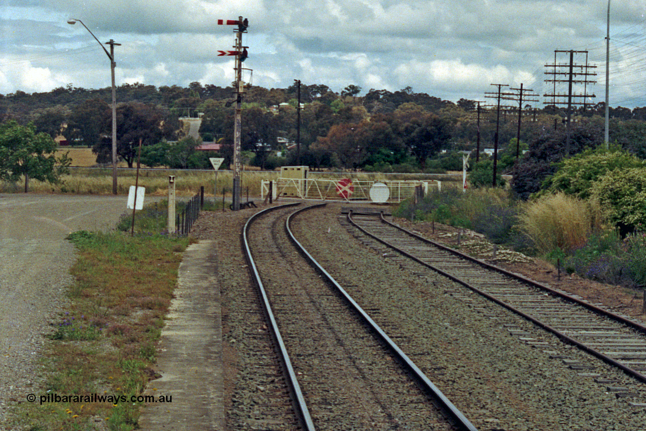 192-37
Cootamundra West, NSW, looking east in the up direction along South Fork, the truncated Tumut Siding is on the right, the Main South can be seen across the Yass Road non-interlocked hand gates with the top up semaphore signal operated by lever 45 and the lower arm controlled by Cootamundra North Signal Box.
