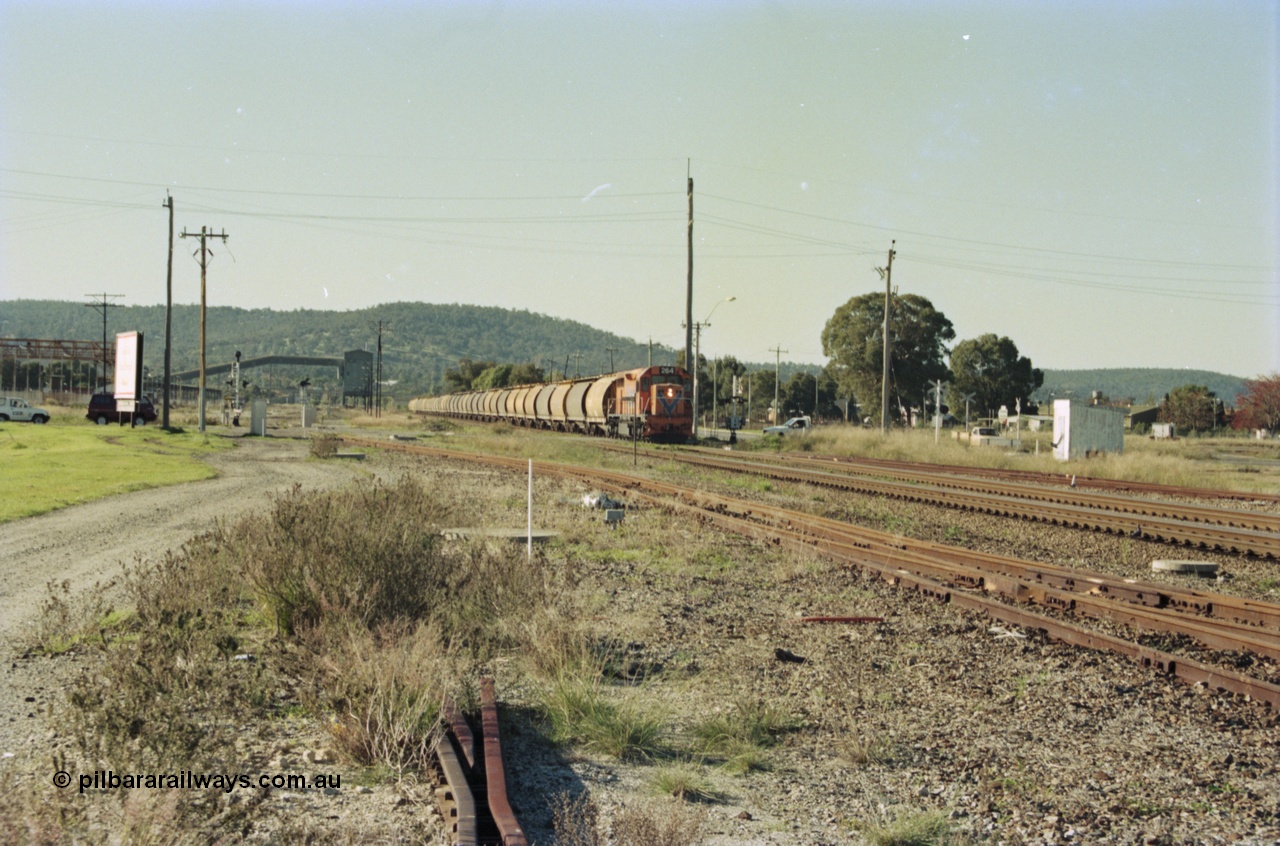 200-31
Midland, loaded standard gauge grain train behind Westrail L class L 264 Clyde Engineering EMD model GT26C serial 68-554 crossing Lloyd Street grade crossing 0940 hrs 24th June 1997.
Keywords: L-class;L264;Clyde-Engineering-Granville-NSW;EMD;GT26C;68-554;