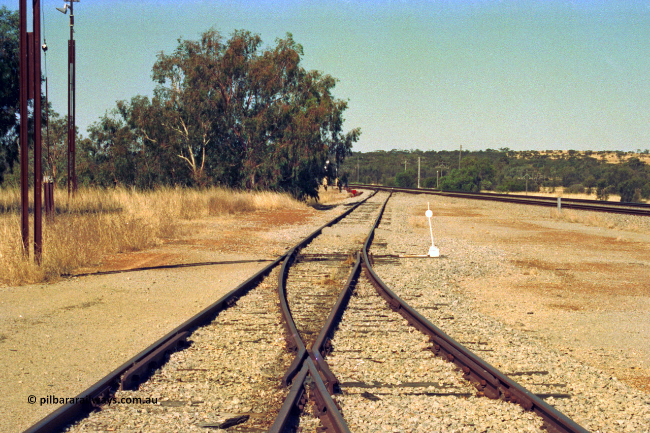 202-24
Meckering, view looking east with the goods siding re-joining the goods loop and heading back to the crossing loop.
