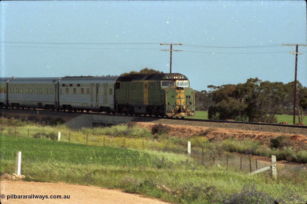 216-03
Long Plains, the down passenger train to Alice Springs 'The Ghan' on approach with power from an AN livered DL class DL 37 Clyde Engineering EMD model AT42C serial 88-1245.
Keywords: DL-class;DL49;Clyde-Engineering-Kelso-NSW;EMD;AT42C;89-1268;
