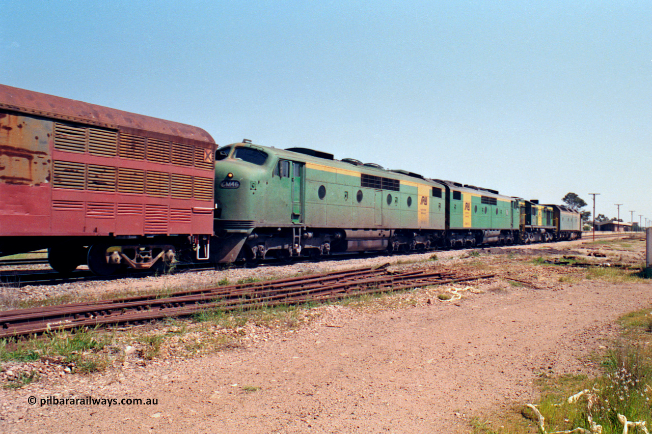 217-15
Peterborough, an SP Perth bound having crossed Sliver Street behind the AN liveried quad combination of CL class Bulldog CL 11 Clyde Engineering EMD model AT26C serial 71-739, 600 class 605 AE Goodwin ALCo model DL541 serial G6015-4, and GM class Bulldogs GM 43 Clyde Engineering EMD model A16C serial 67-529 and GM 46 serial 67-532 powers away west with the station building in the background.
Keywords: GM-class;GM46;Clyde-Engineering-Granville-NSW;EMD;A16C;67-532;
