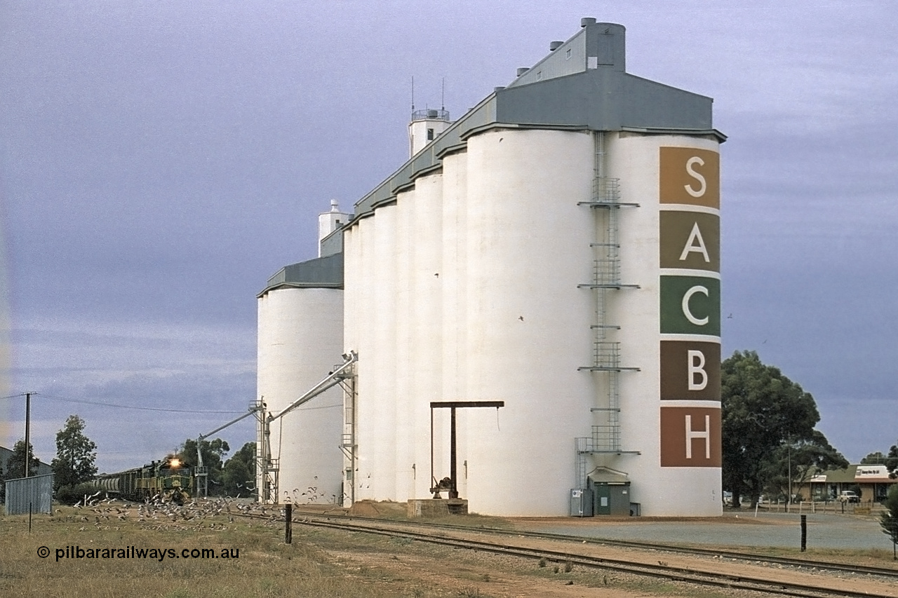 245-11
Wudinna's peace is disturbed as the birds take off as an empty down grain train arrives along the mainline to shunt off some waggons. 7th April, 2003.

