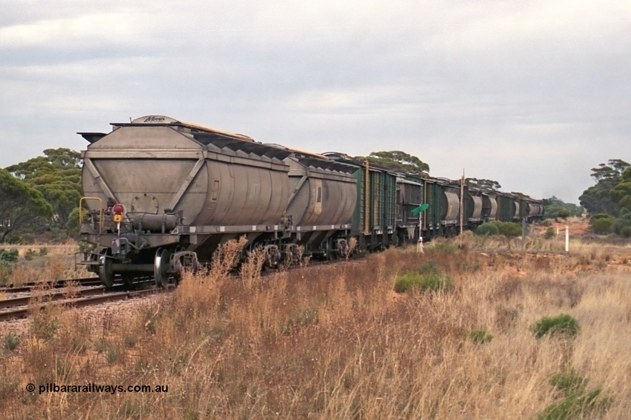 245-28
Yaninee, trailing view of an empty grain train as it trundles over Hunt Terrace with its motely collection of grain waggons as it runs 'express' through Yaninee. 7th April, 2003.
