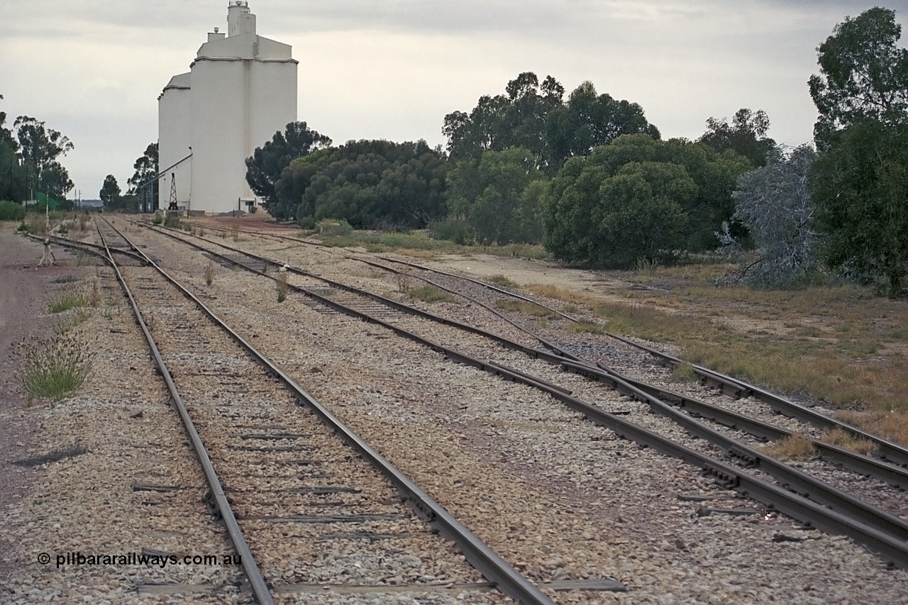 245-34
Minnipa yard looking in the up direction from the down end, on the left is goods siding #1, mainline to Port Lincoln, goods siding #2 and goods siding #3 on the right. 7th April, 2003.
