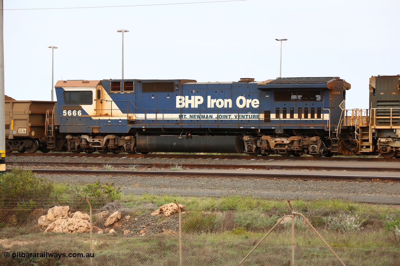 150523 8199
Nelson Point Yard, with only another month to operate, BHP Billiton CM40-8M locomotive 5666 'Taranto' is a trailing unit as the loaded rake waits to head to the car dumpers for unloading. 5666 started life as a Comeng NSW built M636 ALCo 5487 before Goninan rebuilt it in 1995 to a CM40-8MEFI as it was the first unit to trial an electronic fuel injection system. Come the 1st of July 2015 all these units were all stored.
