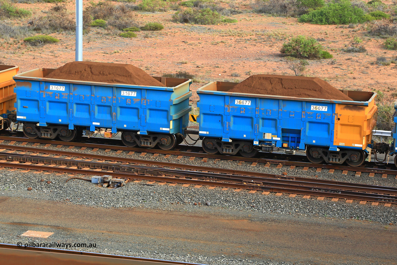 240619 0403
Cape Lambert yard, one of Rio Tinto's blue rakes with spring assisted park brake and only electronic controlled pneumatic [ECP] braking, waggon pair 31677 is a master and is bar coupled to slave waggon 36677 built by China Northen as a Q type in 11/2022. Captured on June 19, 2024.
Keywords: 31677;36677;Q-type;China-Northern;Rio-ore-waggon;