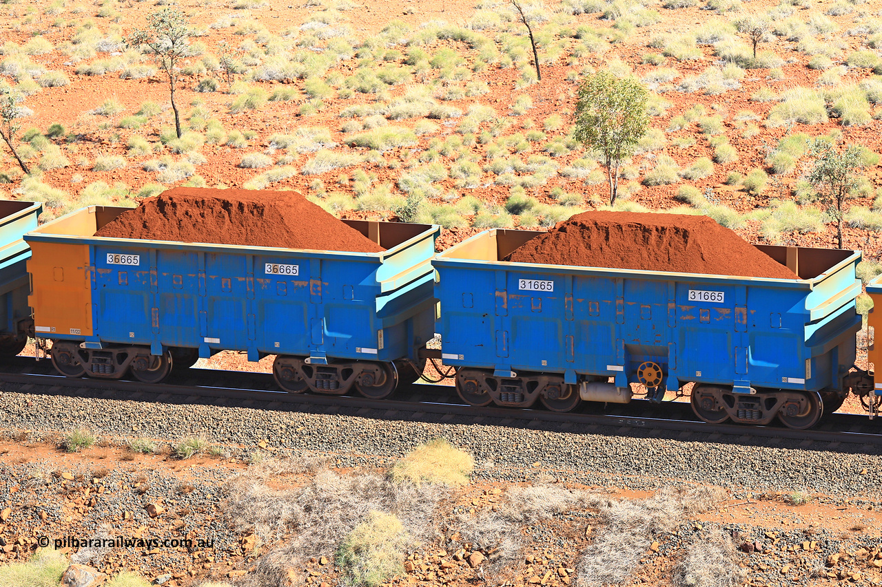 240701 2454
Western Creek, 67 km, one of Rio Tinto's blue rakes with spring assisted park brake and only electronic controlled pneumatic [ECP] braking, waggon pair 31665 is a master and is bar coupled to slave waggon 36665 built by China Northen as a Q type in 11/2022. Captured on July 1, 2024.
Keywords: 31665;36665;Q-type;China-Northern;Rio-ore-waggon;