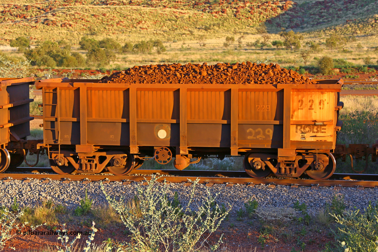 0229 170513 8699
Robe River ore waggon 229, built by Nippon Sharyo Nihon, handbrake side loaded view, Cape Lambert yard, May 13, 2017.
Keywords: 229;Nippon-Sharyo-Nihon;Robe-ore-waggon;