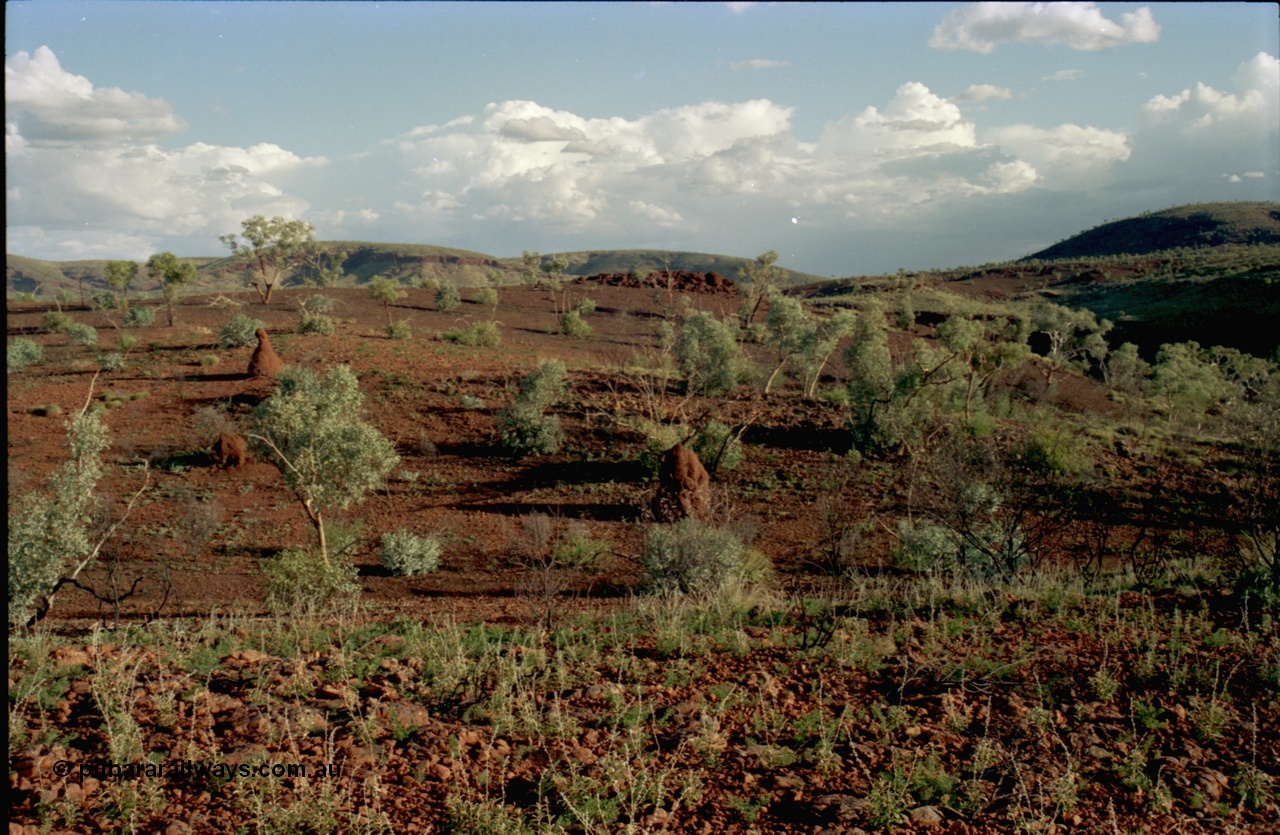 195-11
Wittenoom, top of Bee Gorge, snappy gums and ant hills.
