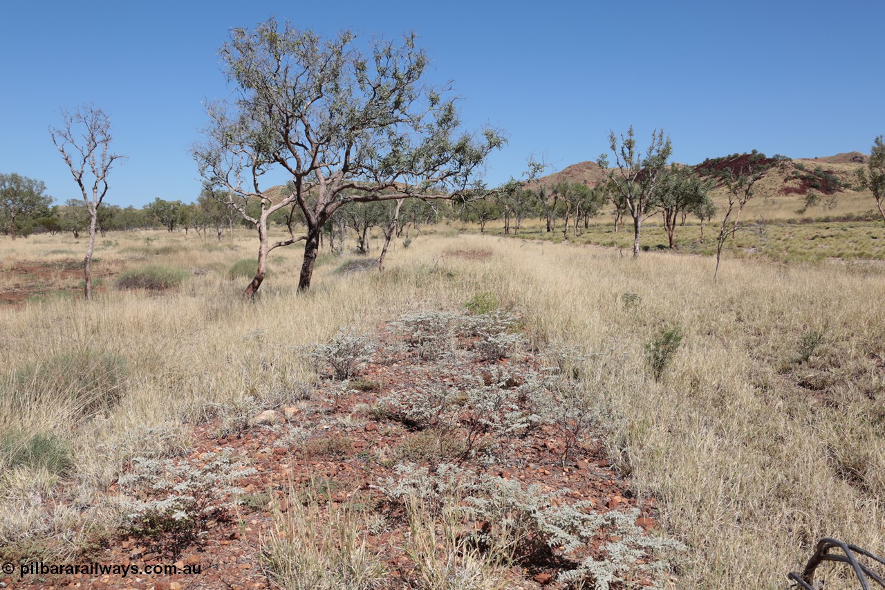 140517-4327
Eginbah Siding area, of the Marble Bar railway, looking towards Marble Bar along the alignment. [url=https://goo.gl/maps/hEYQTG5P4N72]Location here[/url].
