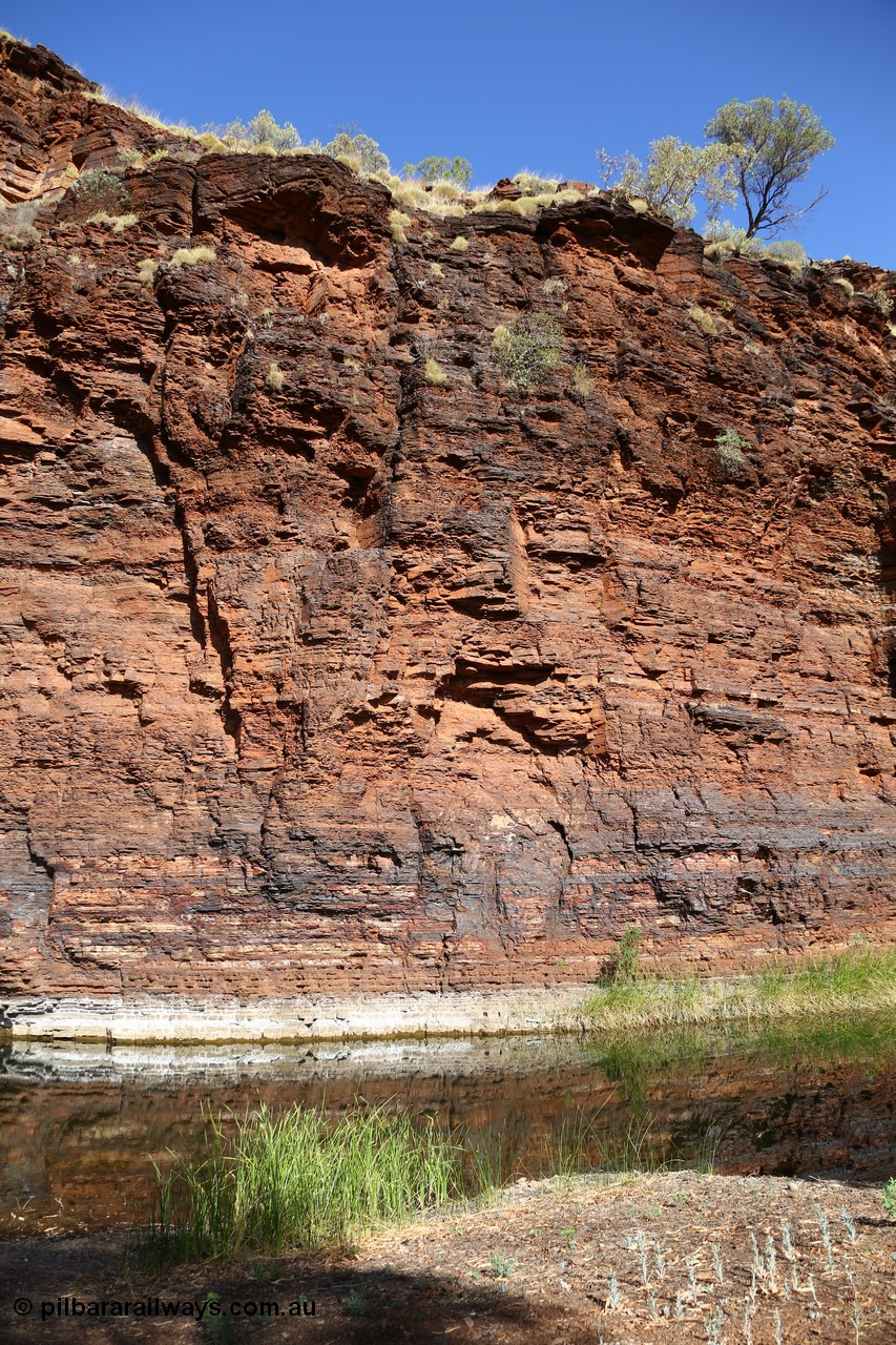 160101 9757
Wittenoom Gorge, Joffre Creek, Fourth Crossing Pool on the west side of the gorge on Bolitho Road. Geodata: [url=https://goo.gl/maps/nzPjhQjuRL12] -22.2804483 118.3212850 [/url]

