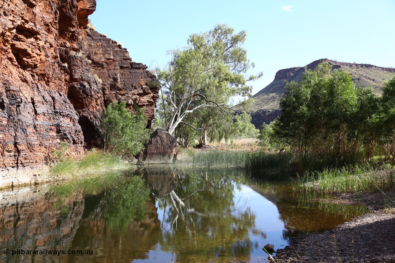 160101 9759
Wittenoom Gorge, Joffre Creek, Fourth Crossing Pool view of the western wall gorge, via Bolitho Road. Geodata: [url=https://goo.gl/maps/nzPjhQjuRL12] -22.2804483 118.3212850 [/url]

