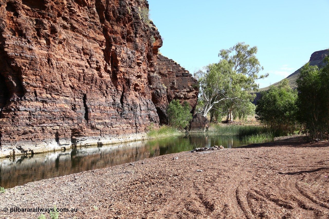 160101 9760
Wittenoom Gorge, Joffre Creek, Fourth Crossing Pool view of the western wall gorge, via Bolitho Road. Geodata: [url=https://goo.gl/maps/nzPjhQjuRL12] -22.2804483 118.3212850 [/url]
