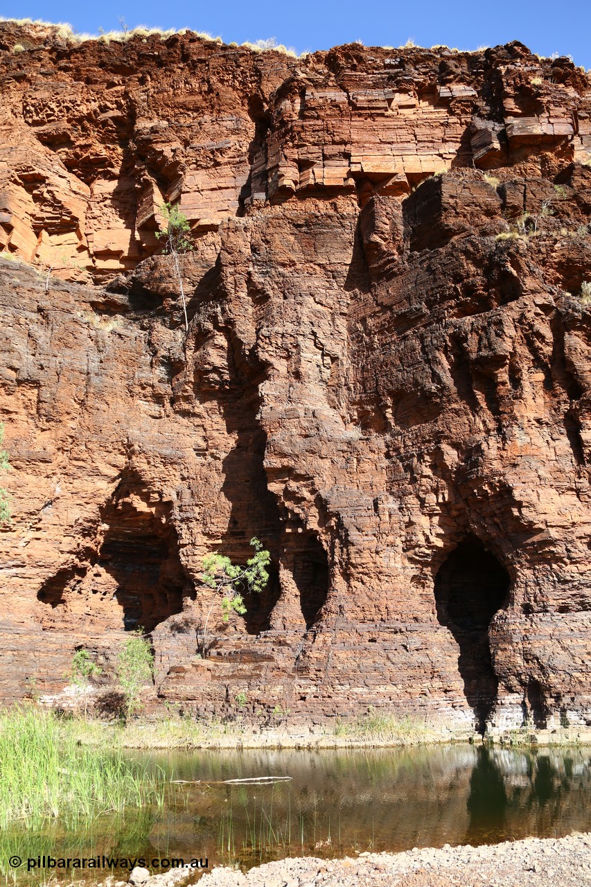 160101 9761
Wittenoom Gorge, Joffre Creek, Fourth Crossing Pool view of the western wall gorge, via Bolitho Road. Geodata: [url=https://goo.gl/maps/nzPjhQjuRL12] -22.2804483 118.3212850 [/url]
