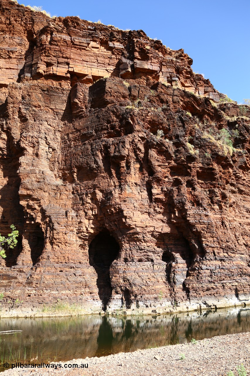 160101 9762
Wittenoom Gorge, Joffre Creek, Fourth Crossing Pool view of the western wall gorge, via Bolitho Road. Geodata: [url=https://goo.gl/maps/nzPjhQjuRL12] -22.2804483 118.3212850 [/url]
