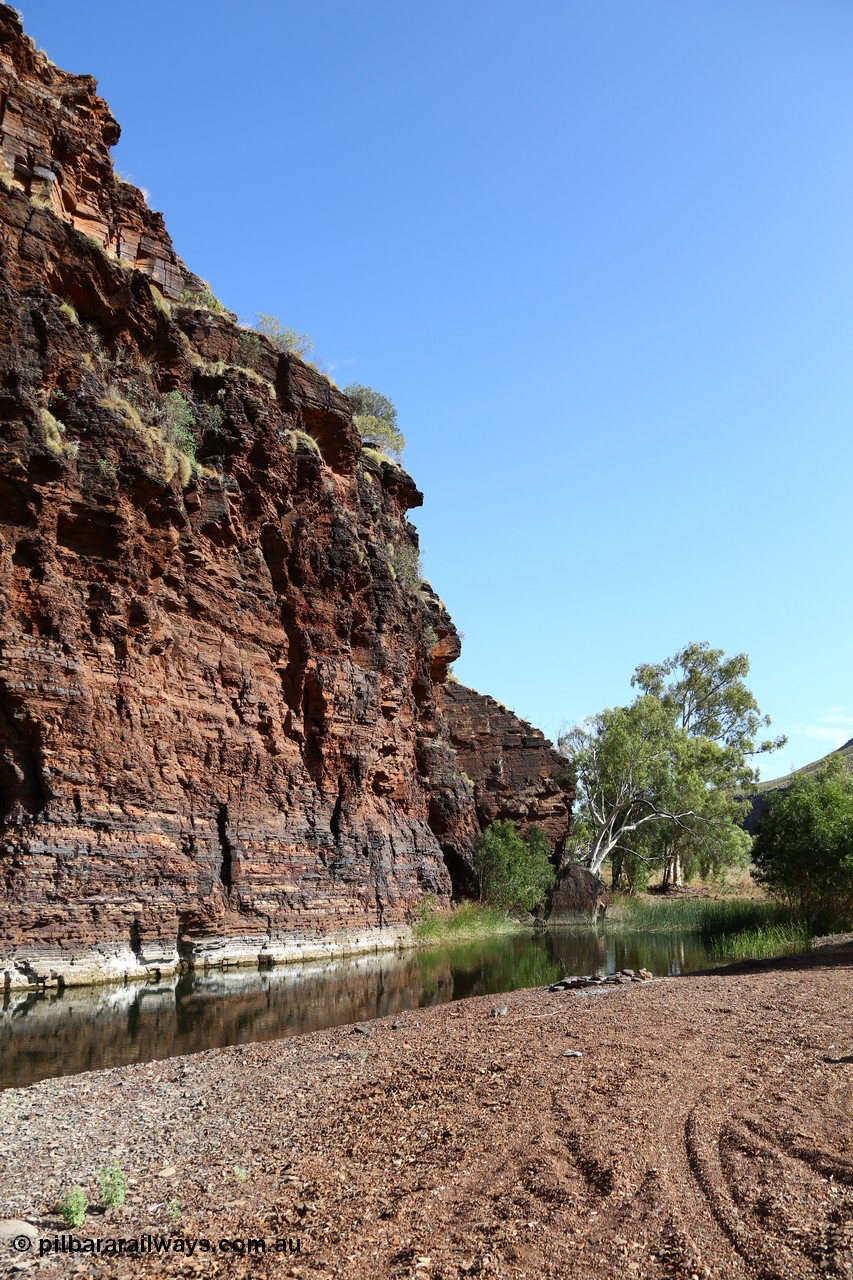 160101 9765
Wittenoom Gorge, Joffre Creek, Fourth Crossing Pool view of the western wall gorge, via Bolitho Road. Geodata: [url=https://goo.gl/maps/nzPjhQjuRL12] -22.2804483 118.3212850 [/url]

