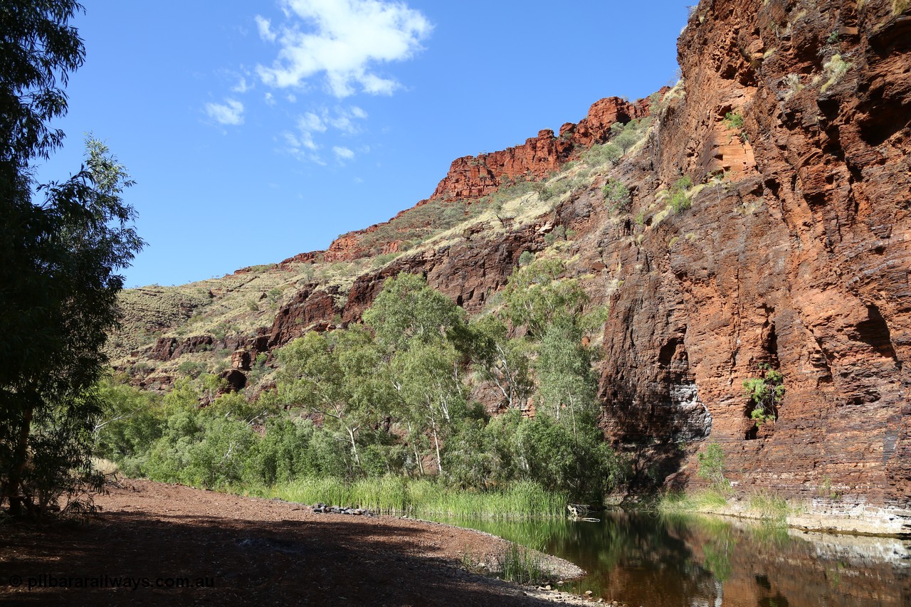 160101 9766
Wittenoom Gorge, Joffre Creek, Fourth Crossing Pool view of the western wall gorge, via Bolitho Road. Geodata: [url=https://goo.gl/maps/nzPjhQjuRL12] -22.2804483 118.3212850 [/url]
