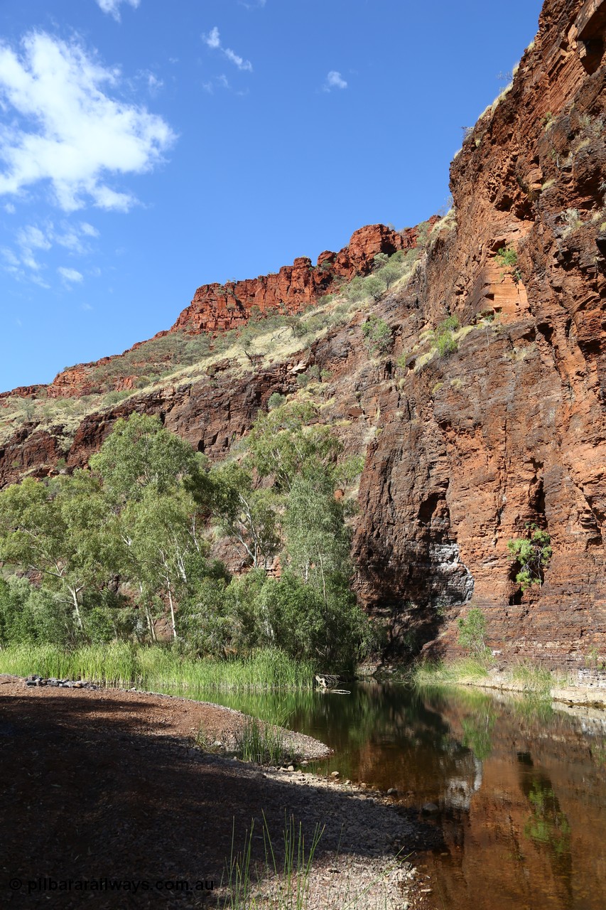 160101 9767
Wittenoom Gorge, Joffre Creek, Fourth Crossing Pool view of the western wall gorge, via Bolitho Road. Geodata: [url=https://goo.gl/maps/nzPjhQjuRL12] -22.2804483 118.3212850 [/url]
