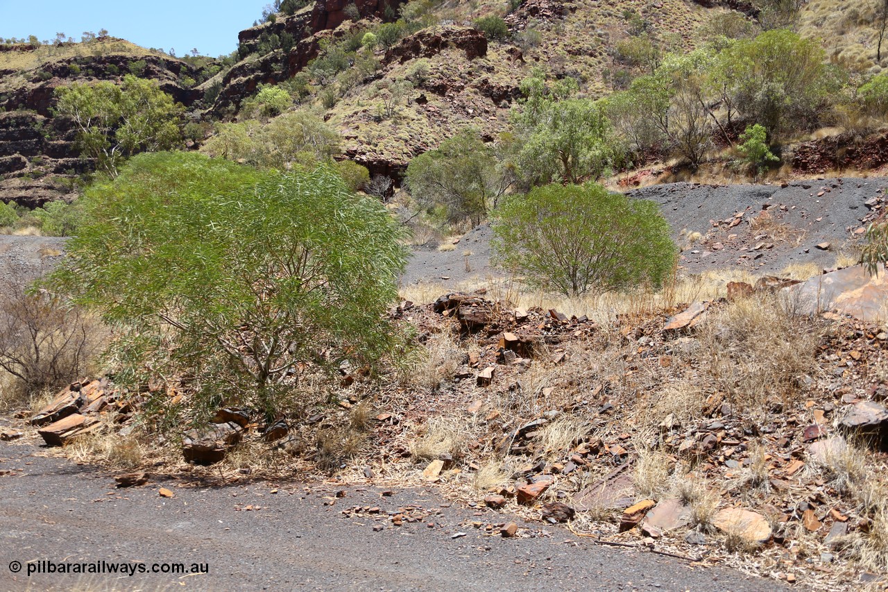 160101 9805
Wittenoom Gorge, Gorge Mine area, looking north, the line of the drive is visible and in the middle background is adit #6. [url=https://goo.gl/maps/5iicGGMSnsA2sEKU9]GeoData[/url].
