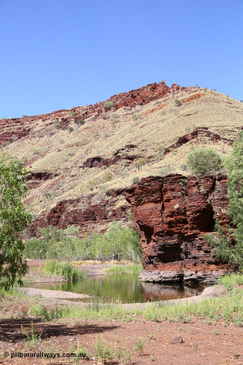 160102 9812
Wittenoom Gorge, Town Pool in Joffre Creek just south of the Colonial Mine. [url=https://goo.gl/maps/AutgczJup1oceeSa9]Geodata[/url].
