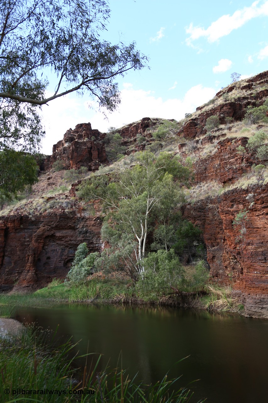 160102 9818
Wittenoom Gorge, pool in Joffre Creek just across the road from Colonial Mine, Magazine Pool. [url=https://goo.gl/maps/nJSvqbS8mztnHL4E9]Geodata[/url].

