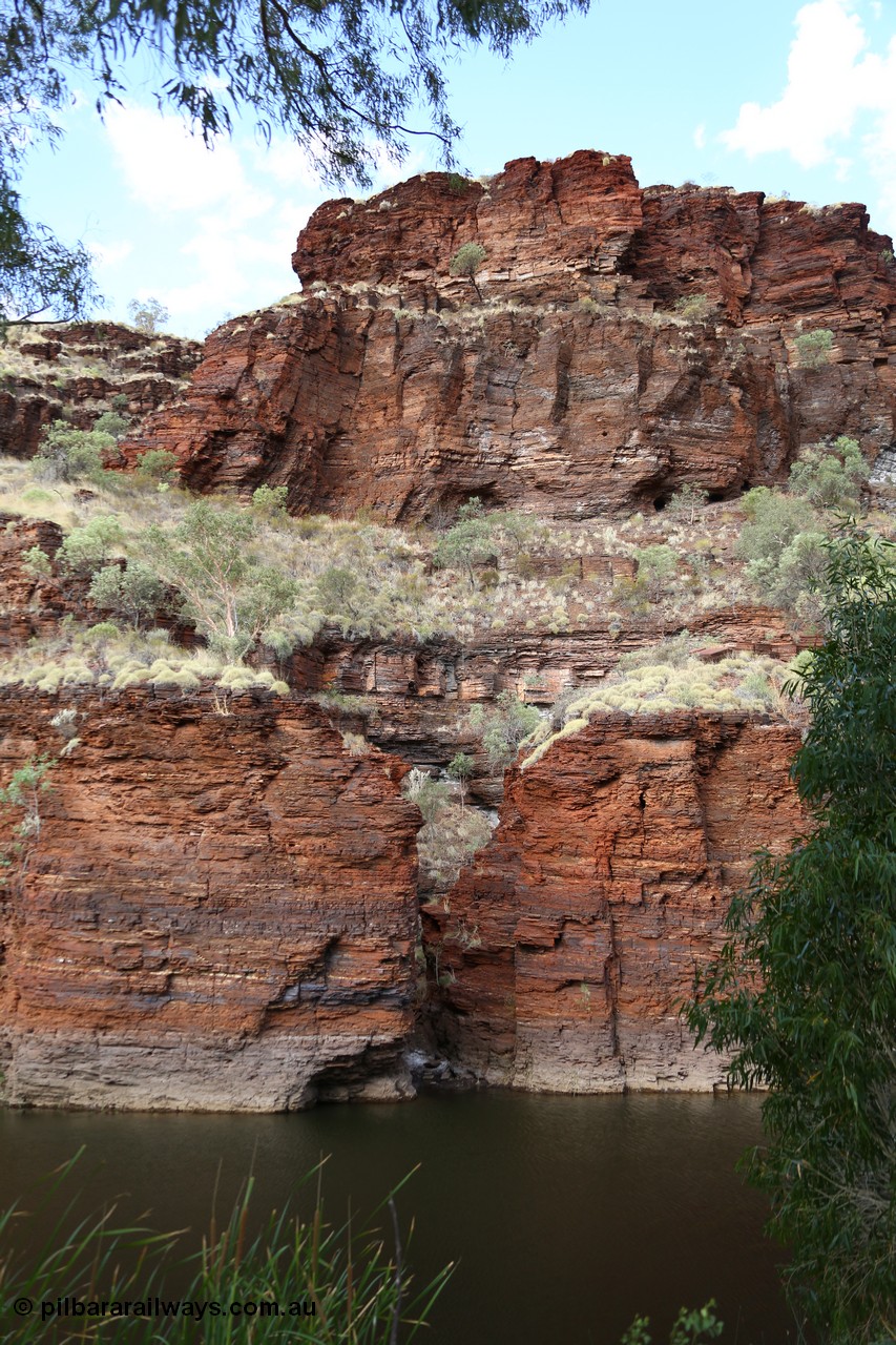 160102 9819
Wittenoom Gorge, pool in Joffre Creek just across the road from Colonial Mine, Magazine Pool. [url=https://goo.gl/maps/nJSvqbS8mztnHL4E9]Geodata[/url].
