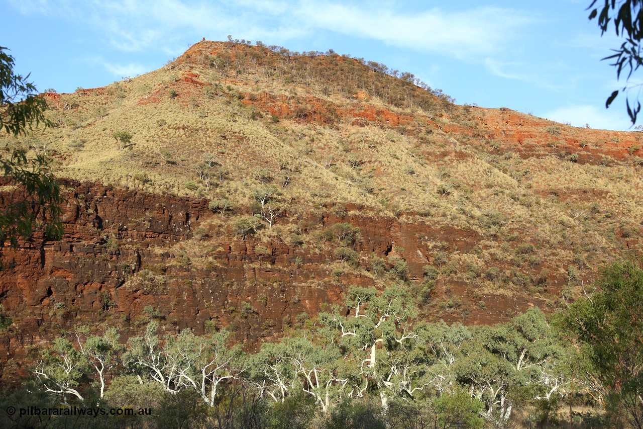 160102 9821
Wittenoom Gorge, eastern wall of gorge view, around Fifth Crossing. [url=https://goo.gl/maps/uG55Vvny2YrT4GGbA]Geodata[/url].
