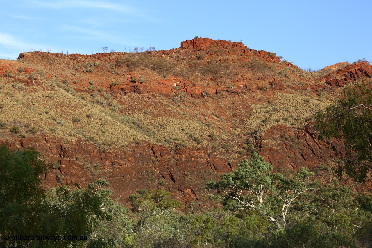 160102 9823
Wittenoom Gorge, eastern wall of gorge view, around Fifth Crossing. [url=https://goo.gl/maps/uG55Vvny2YrT4GGbA]Geodata[/url].
