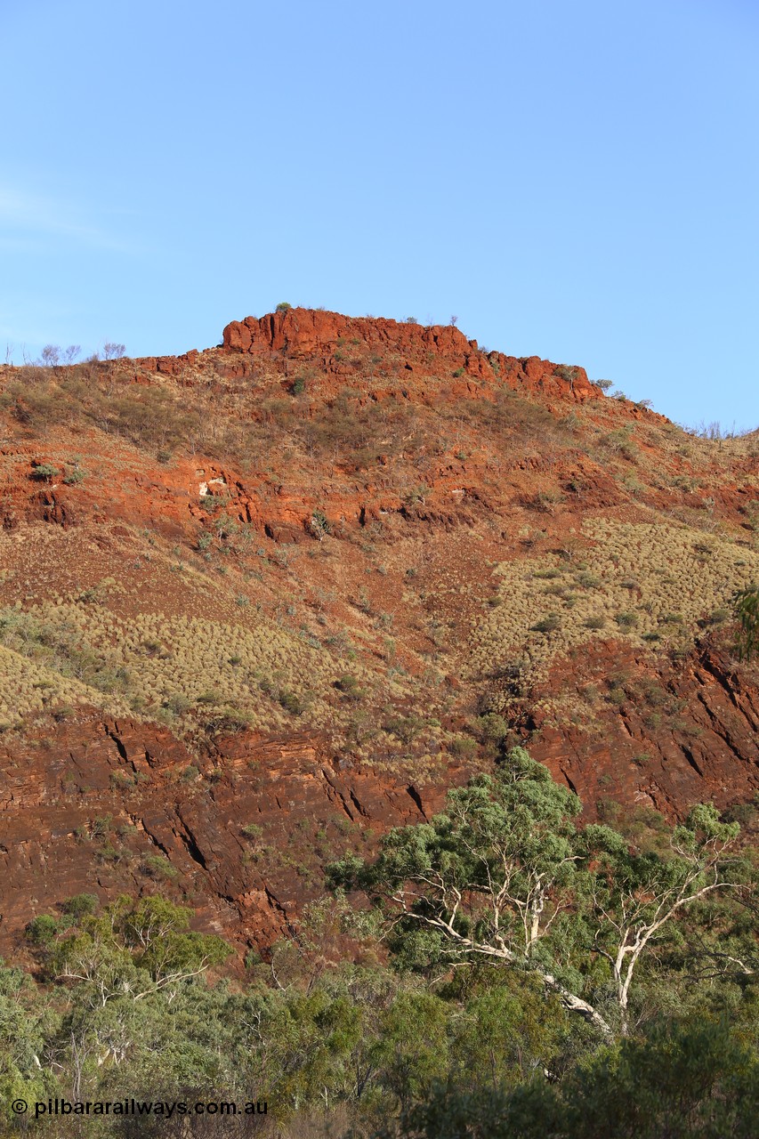 160102 9825
Wittenoom Gorge, eastern wall of gorge view, around Fifth Crossing. [url=https://goo.gl/maps/uG55Vvny2YrT4GGbA]Geodata[/url].

