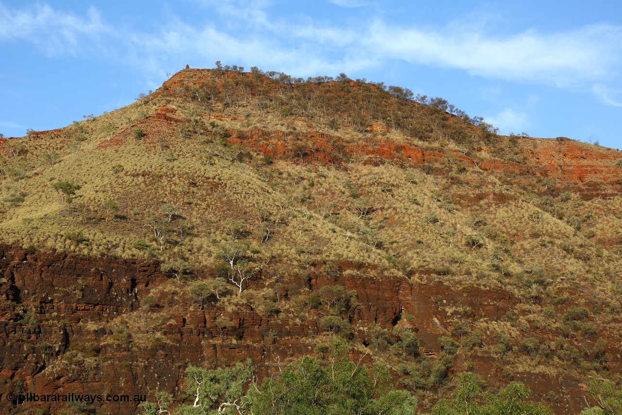 160102 9826
Wittenoom Gorge, eastern wall of gorge view, around Fifth Crossing. [url=https://goo.gl/maps/uG55Vvny2YrT4GGbA]Geodata[/url].
