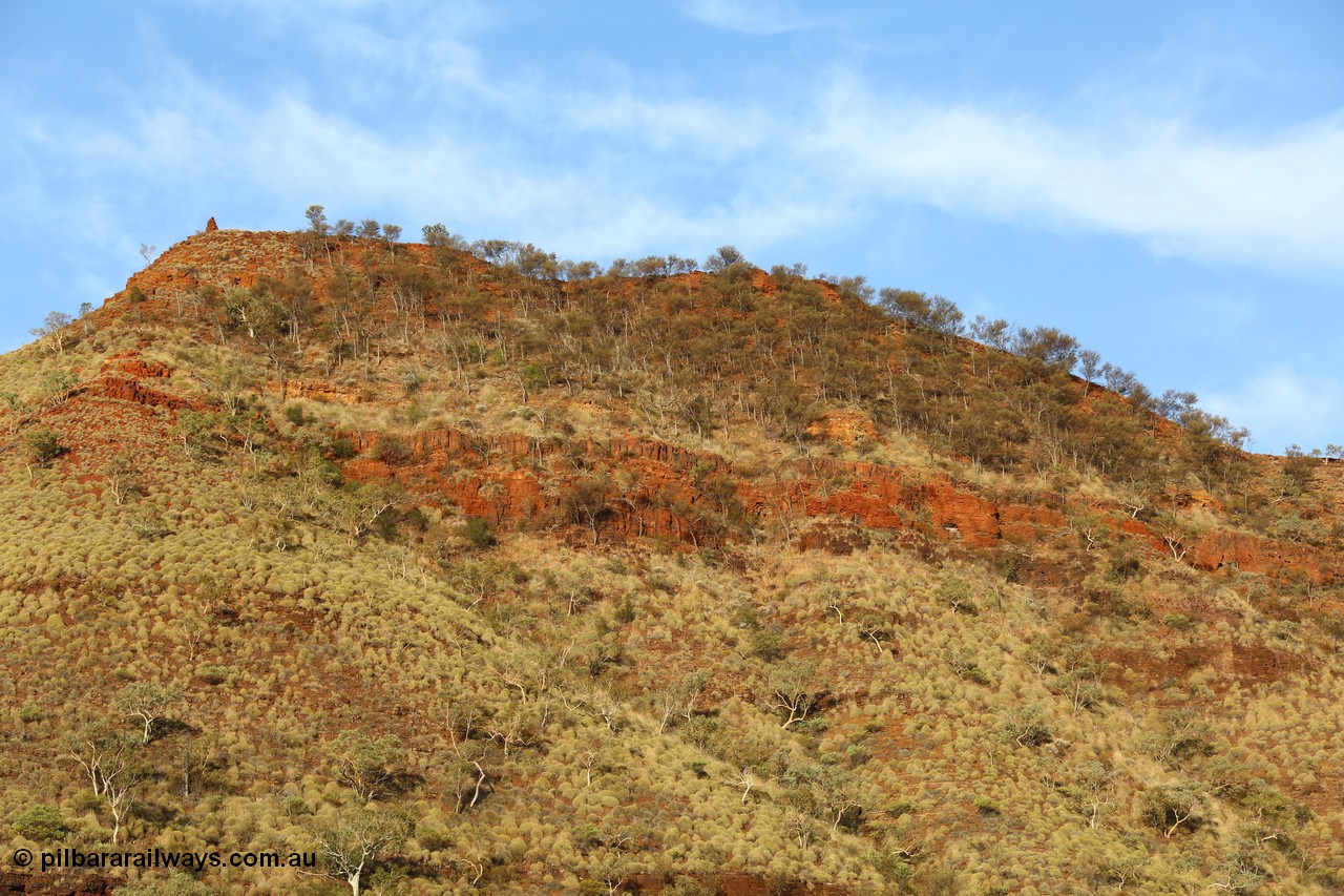 160102 9827
Wittenoom Gorge, eastern wall of gorge view, around Fifth Crossing. [url=https://goo.gl/maps/uG55Vvny2YrT4GGbA]Geodata[/url].
