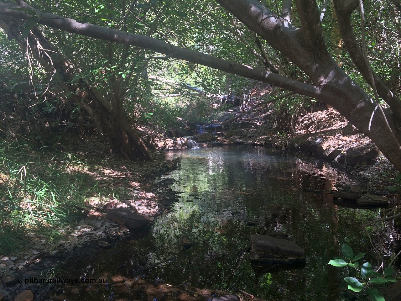 160710 iPh5S 2792
Wittenoom Gorge, natural spring, near the old Colonial Mine that feeds the native bananas. It is always a lot cooler in here than the gorge, which is cooler than town.
