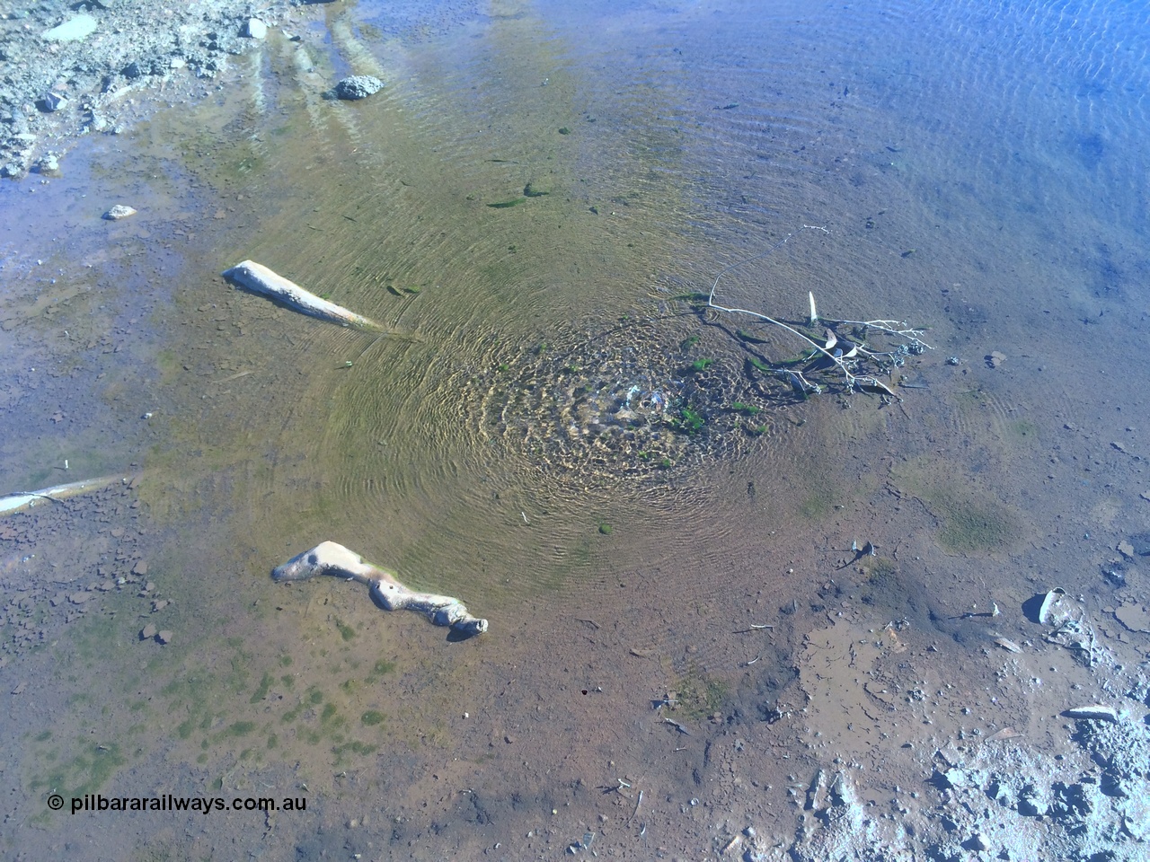 160711 iPh5S 2827
Natural spring or soak just north east of the old Wittenoom pump station bubbling water at the surface. [url=https://goo.gl/maps/e6Td258kJZs2mdZS7]Location is here[/url].
