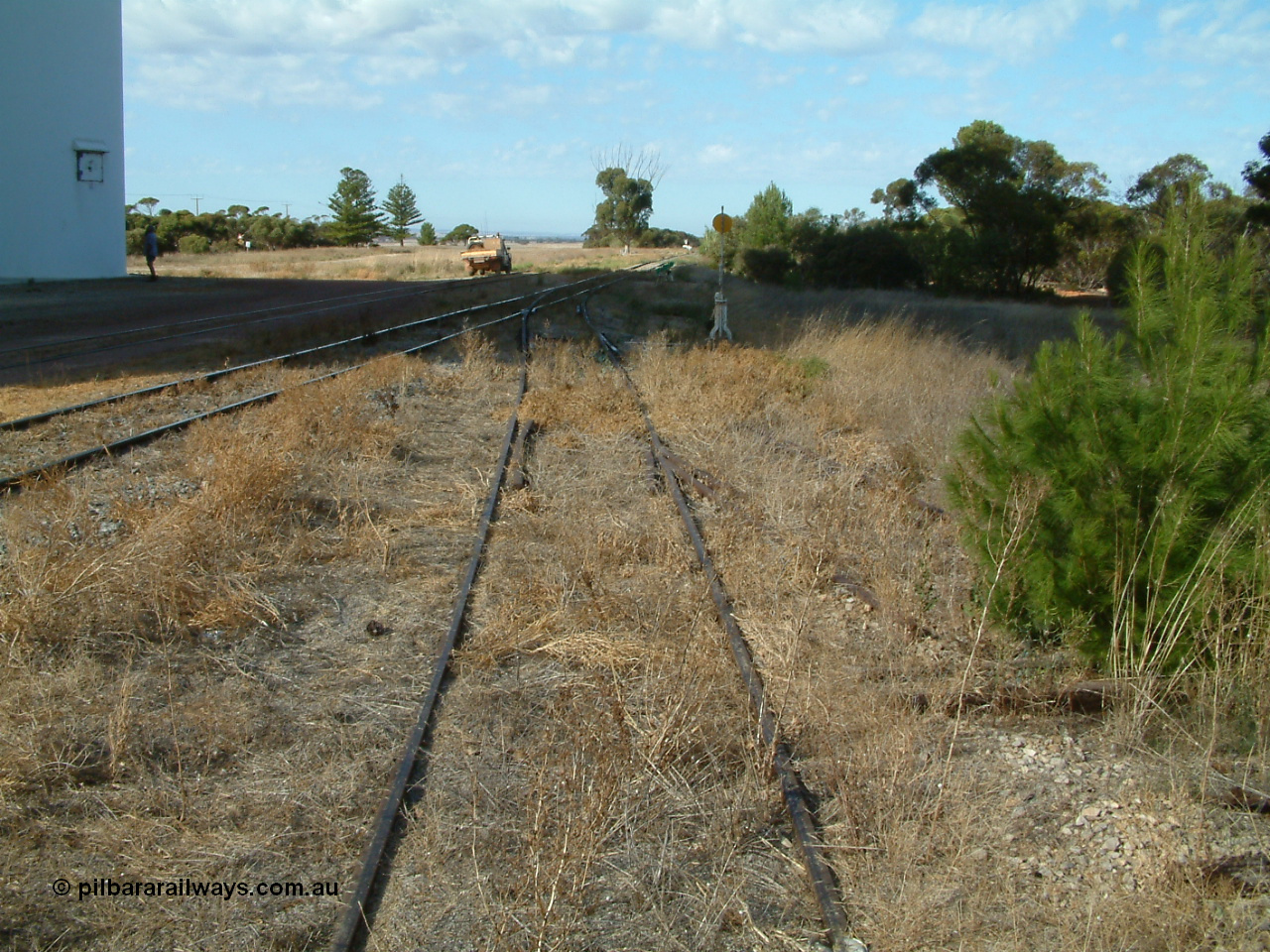 030406 092518
Yeelanna, yard view looking south from the station siding with the south leg of the triangle points, lever and indicator visible, pine tree growing between rails. 6th April 2003.
