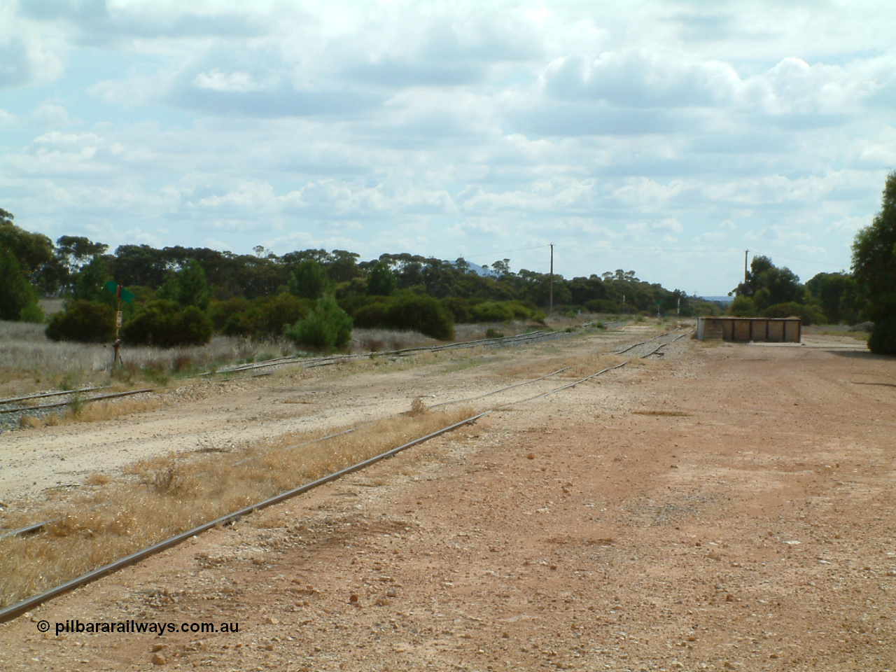 030409 112229
Darke Peake, view looking north from the south end of the triangle, point lever with rail just visible heading into the bush, goods and grain siding in closest to camera, loading ramp at right.
