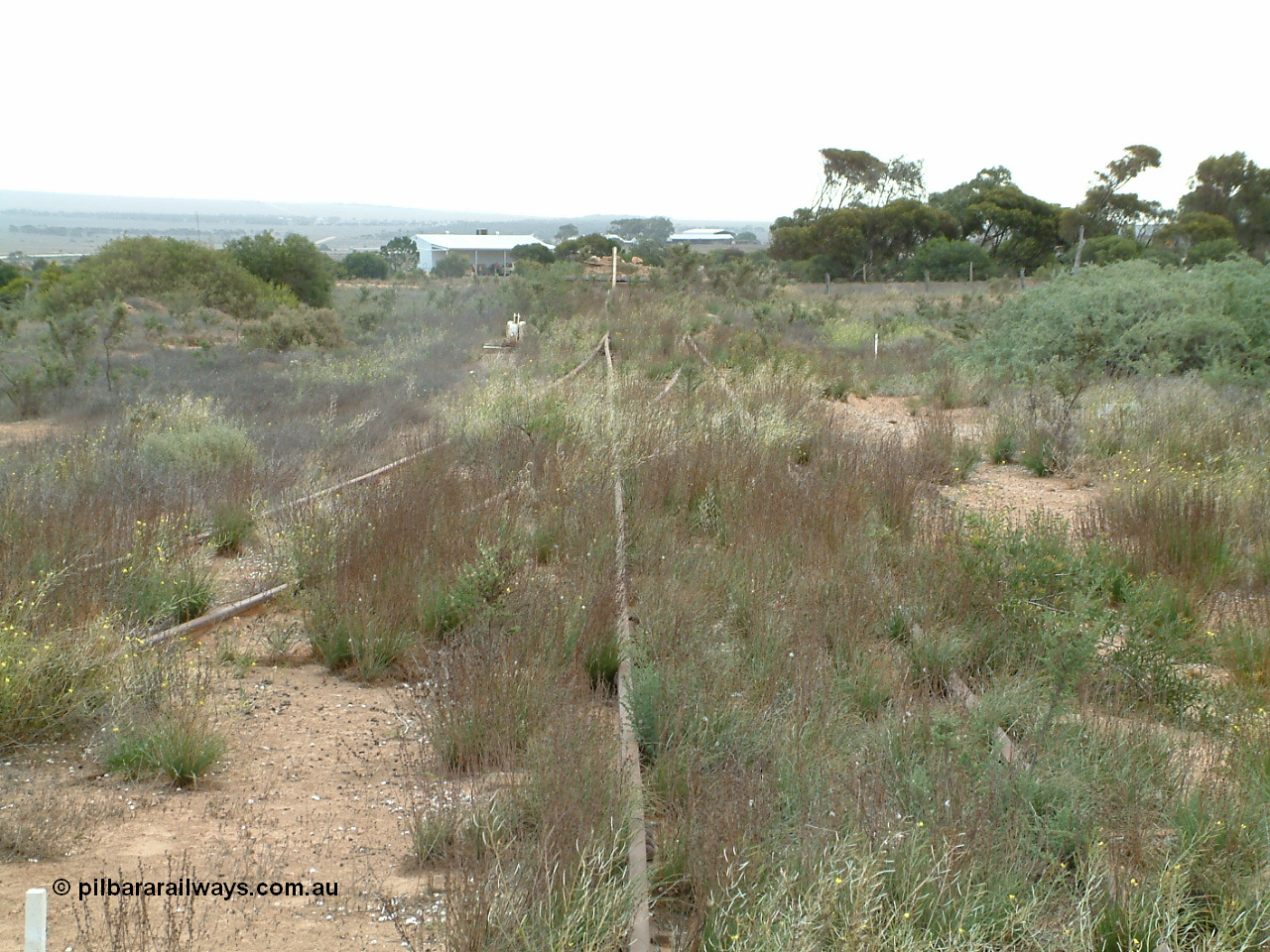 030414 153304
Penong, looking west along to the end of line from the grain loop, 'mainline' coming in on the left.
