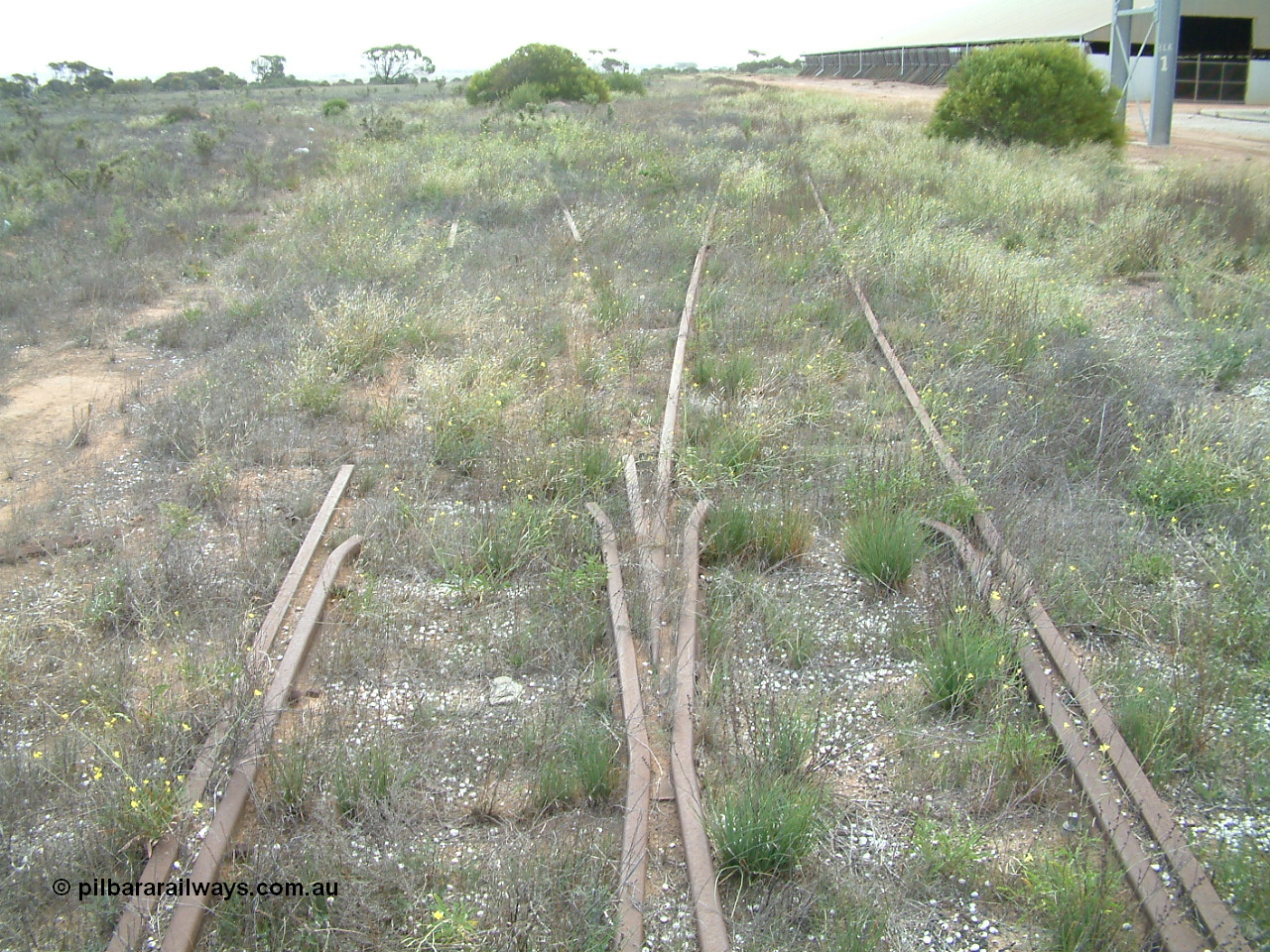 030414 153925
Penong, yard view with the triangle east leg peeling off to the left as the goods loop curves to the right to re-join the mainline. The loadout leg for silo block 1 is on the right with the horizontal bunker behind.
