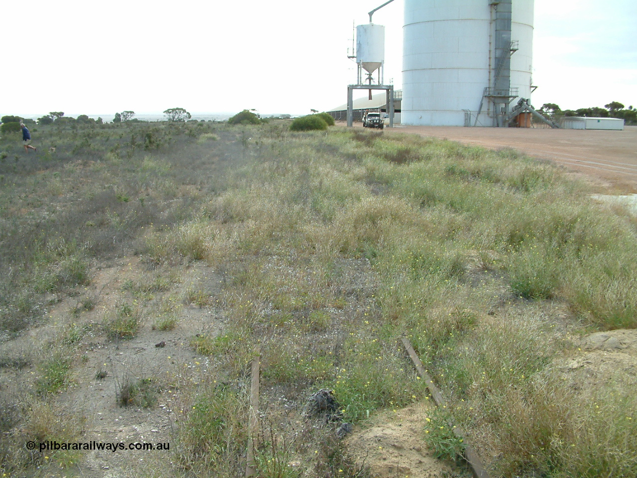 030414 154029
Penong, yard view looking along the goods loop, mainline can be seen in the grass on the right and the grain loop in the clear on the far right. Car is parked at Ascom silo block 1 loadout gantry, Pope is looking for more triangle track.

