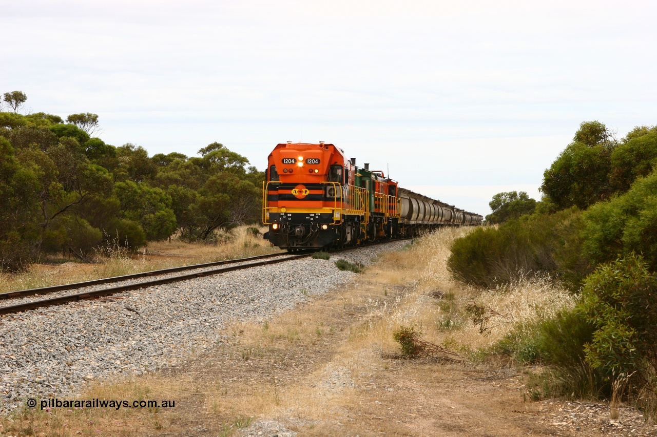060110 2150
Pillana, former station site, 59 km, empty grain train behind ARG 1200 class unit 1204, a Clyde Engineering EMD model G12C serial 65-428, originally built for the WAGR as the final unit of fourteen A class locomotives in 1965 then sent to the Eyre Peninsula in July 2004, and two 830 class AE Goodwin built ALCo model DL531 units 842 serial 84140 ex SAR broad gauge to Eyre Peninsula in October 1987, and 851 serial 84137 new to Eyre Peninsula in 1962. [url=https://goo.gl/maps/BcnmpGwGqtw]Approx. location of photo[/url].
Keywords: 1200-class;1204;Clyde-Engineering-Granville-NSW;EMD;G12C;65-428;A-class;A1514;830-class;842;851;AE-Goodwin;ALCo;DL531;84137;84140;
