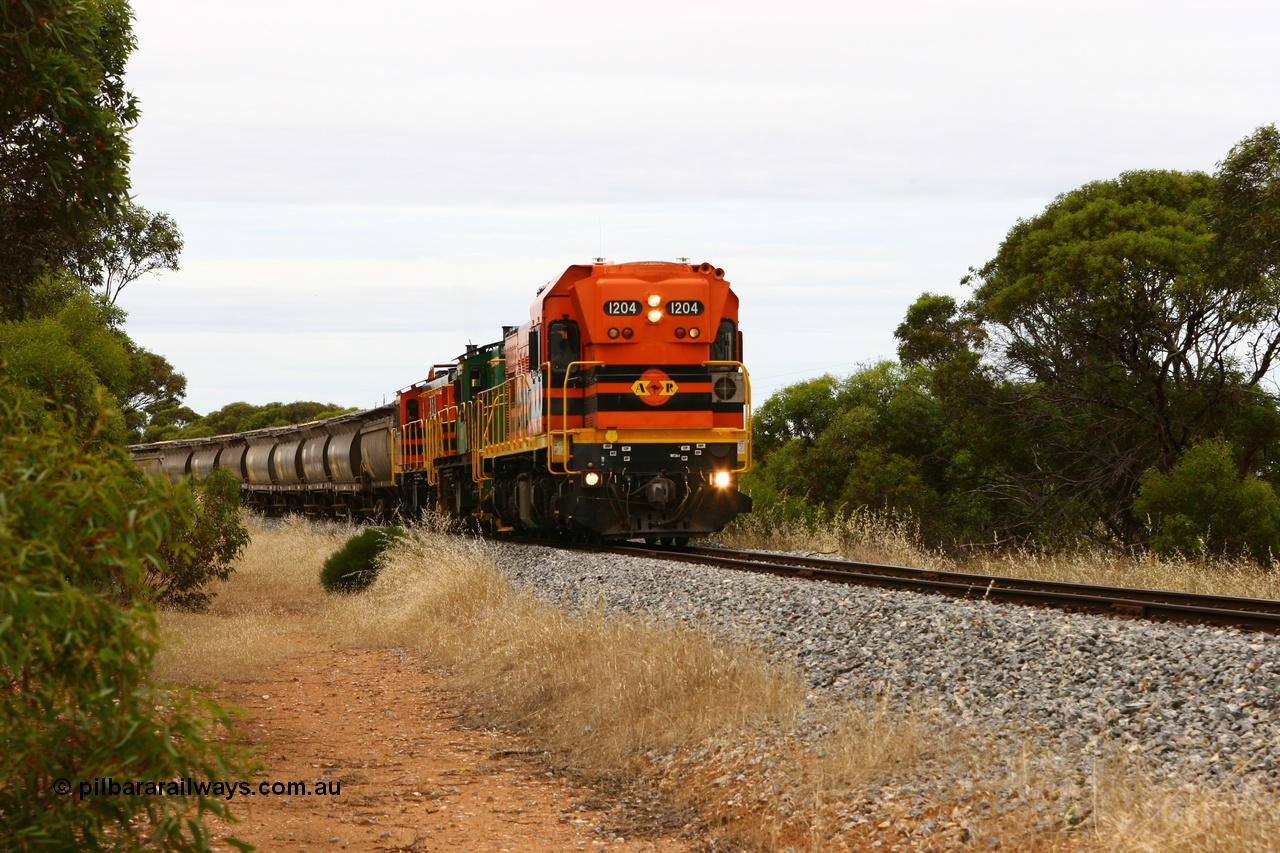 060110 2156
Near the 64 km between Pillana and Cummins, empty grain train behind ARG 1200 class unit 1204, a Clyde Engineering EMD model G12C serial 65-428, originally built for the WAGR as the final unit of fourteen A class locomotives in 1965 then sent to the Eyre Peninsula in July 2004, and two 830 class AE Goodwin built ALCo model DL531 units 842 serial 84140 ex SAR broad gauge to Eyre Peninsula in October 1987, and 851 serial 84137 new to Eyre Peninsula in 1962. [url=https://goo.gl/maps/NECDZnDkLfv]Approx. location of photo[/url].
Keywords: 1200-class;1204;Clyde-Engineering-Granville-NSW;EMD;G12C;65-428;A-class;A1514;830-class;842;851;AE-Goodwin;ALCo;DL531;84137;84140;