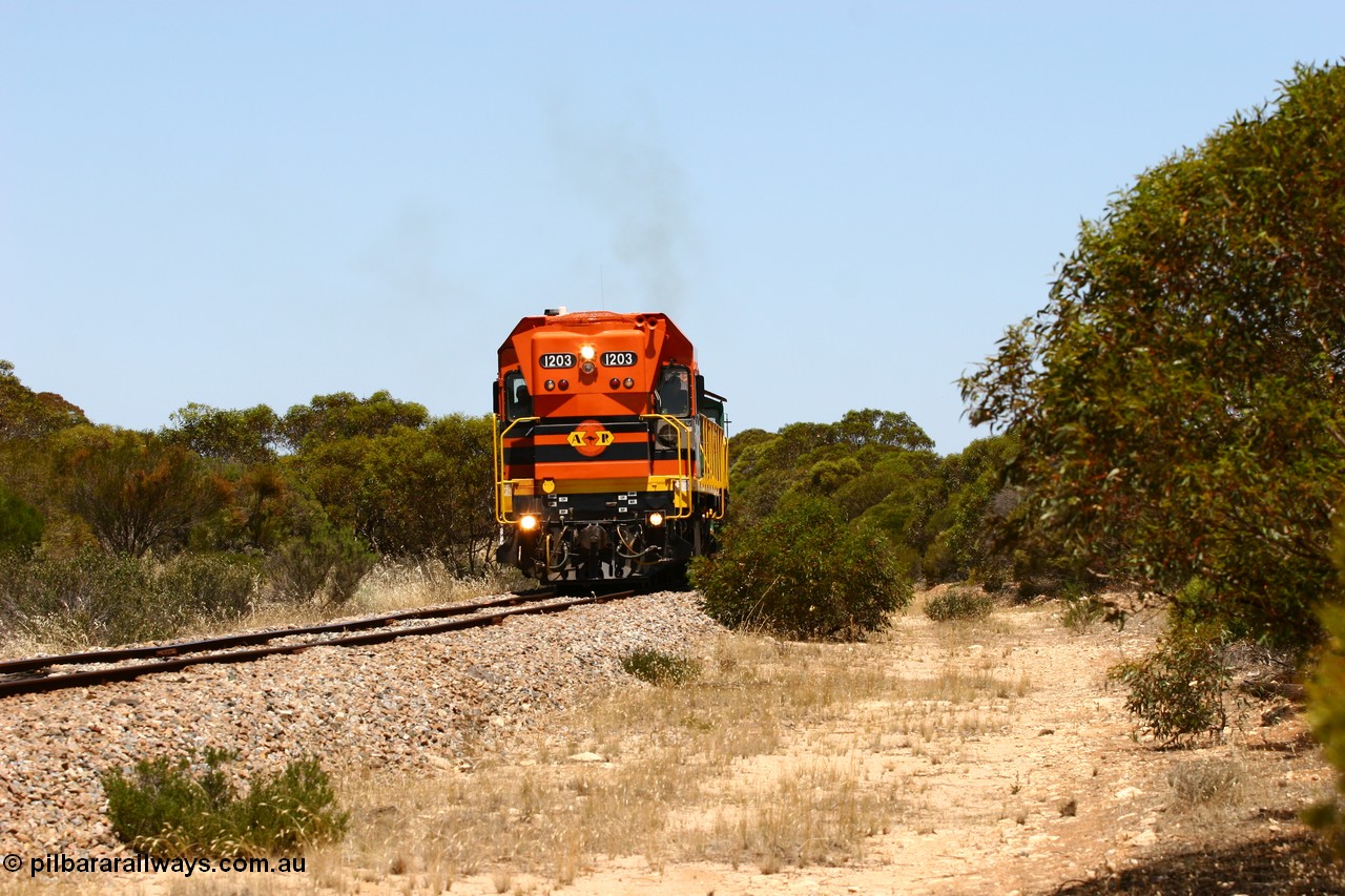 060111 2279
Peachna, two kilometres north of the former station site empty grain train running north behind ARG 1200 class unit 1203, a Clyde Engineering EMD model G12C serial 65-427, one of fourteen originally built between 1960-65 for WAGR as their A class A 1513, fitted with dynamic brakes and financed by Western Mining Corporation, started working on the Eyre Peninsula in November 2004. 11th January 2006.
Keywords: 1200-class;1203;Clyde-Engineering-Granville-NSW;EMD;G12C;65-427;A-class;A1513;
