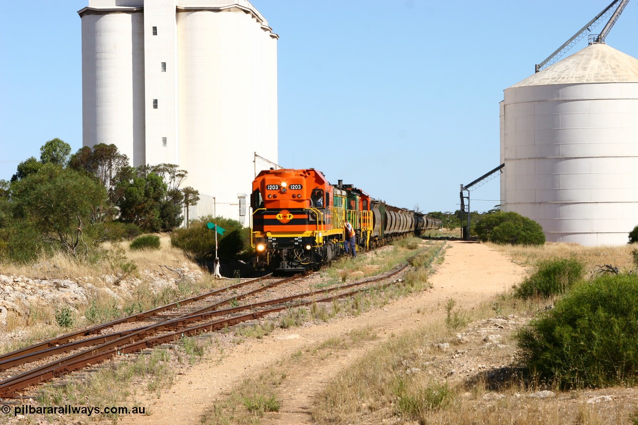 060111 2343
Kyancutta, ARG 1200 class unit 1203, a Clyde Engineering EMD model G12C serial 65-427, one of fourteen originally built between 1960-65 for WAGR as their A class A 1513, fitted with dynamic brakes and financed by Western Mining Corporation, started working on the Eyre Peninsula in November 2004.
Keywords: 1200-class;1203;Clyde-Engineering-Granville-NSW;EMD;G12C;65-427;A-class;A1513;