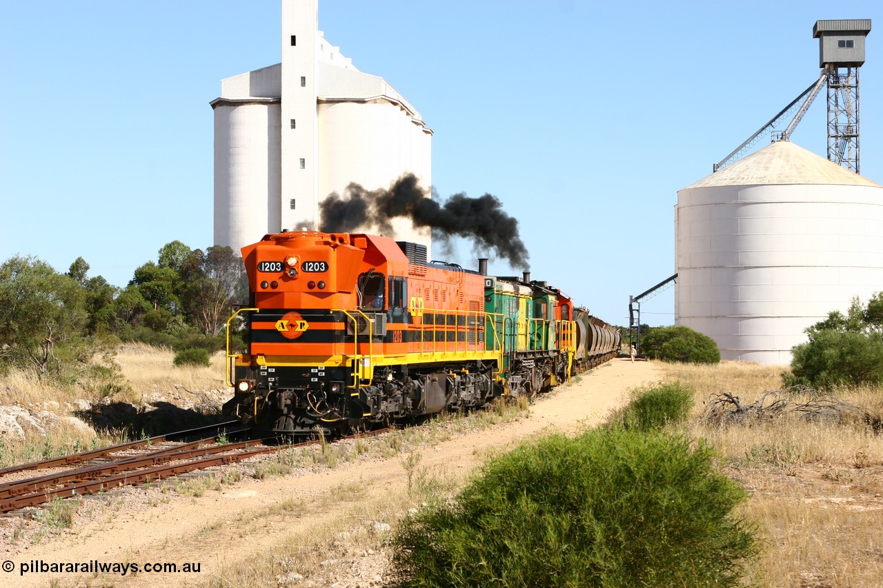 060111 2361
Kyancutta, ARG 1200 class unit 1203, a Clyde Engineering EMD model G12C serial 65-427, one of fourteen originally built between 1960-65 for WAGR as their A class A 1513, fitted with dynamic brakes and financed by Western Mining Corporation, started working on the Eyre Peninsula in November 2004.
Keywords: 1200-class;1203;Clyde-Engineering-Granville-NSW;EMD;G12C;65-427;A-class;A1513;