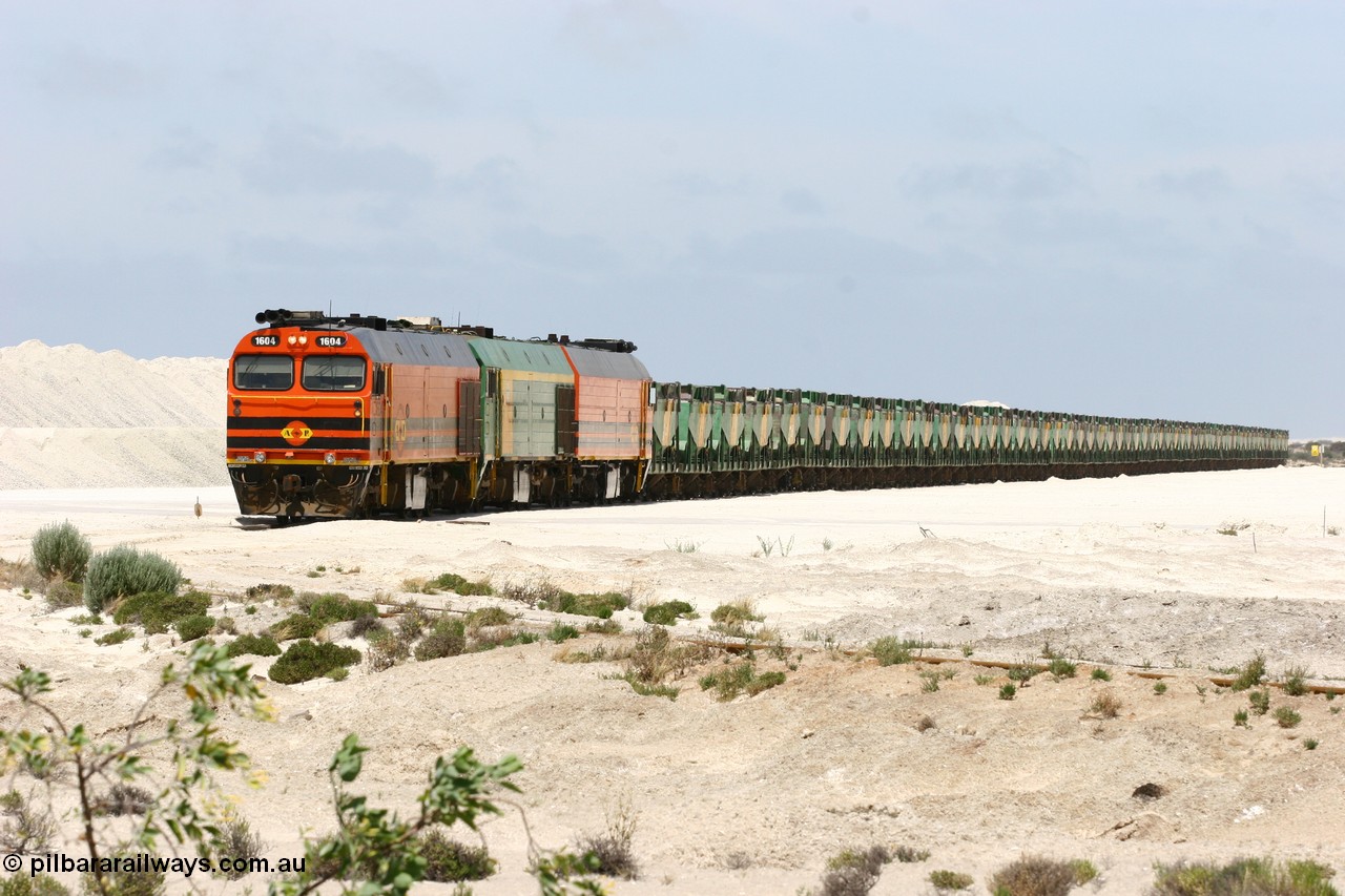 060113 2518
Kevin, empty train 6DD3 is on the west leg of the triangle as it prepares to pull forward and head south towards original gypsum loading siding to continue the reversing process. 13th January 2006.
Keywords: 1600-class;1604;Clyde-Engineering-Granville-NSW;EMD;JL22C;71-731;NJ-class;NJ4;