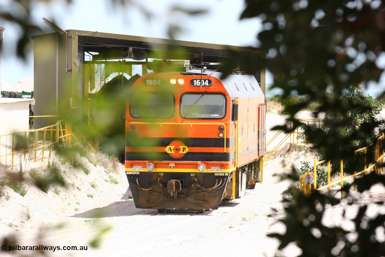 060113 2569
Thevenard, a view through the trees at the Gypsum Resources Australia (GRA) unloading shed as train 6DD4 commences unloading. 13th January 2006.
Keywords: 1600-class;1604;Clyde-Engineering-Granville-NSW;EMD;JL22C;71-731;NJ-class;NJ4;